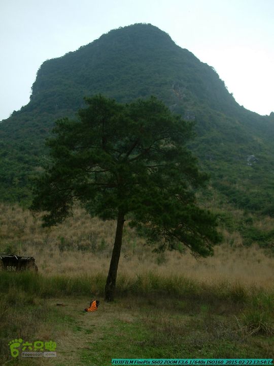 20150222-灵川-凤凰岭-狮子山-潭下镇（户外情缘）DSCF0171