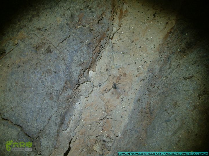 20150222-灵川-凤凰岭-狮子山-潭下镇（户外情缘）DSCF0176