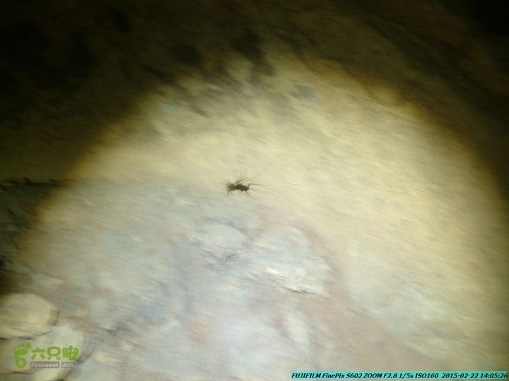 20150222-灵川-凤凰岭-狮子山-潭下镇（户外情缘）DSCF0180