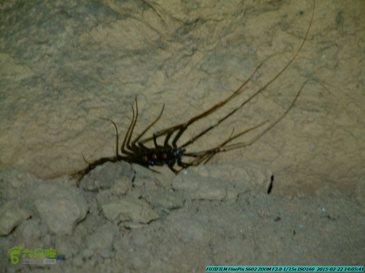 20150222-灵川-凤凰岭-狮子山-潭下镇（户外情缘）DSCF0181