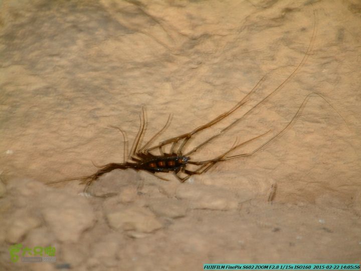 20150222-灵川-凤凰岭-狮子山-潭下镇（户外情缘）DSCF0182