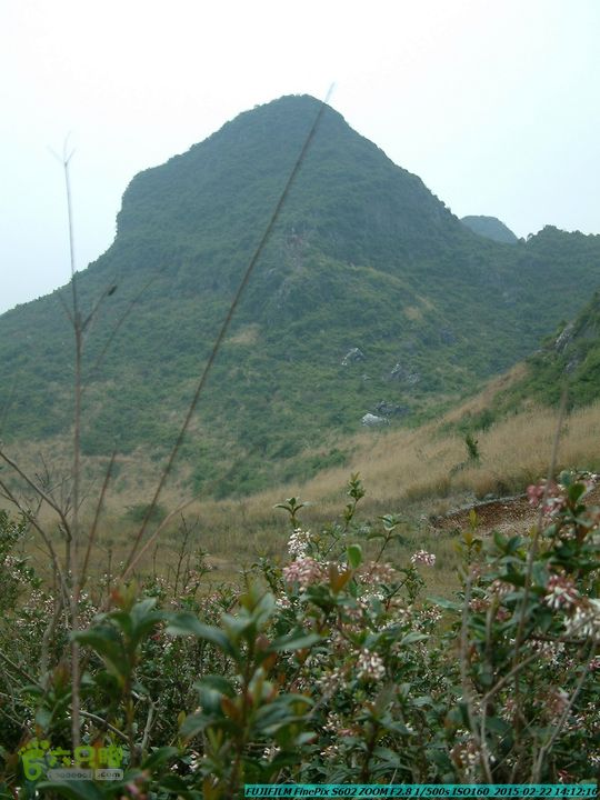 20150222-灵川-凤凰岭-狮子山-潭下镇（户外情缘）DSCF0185