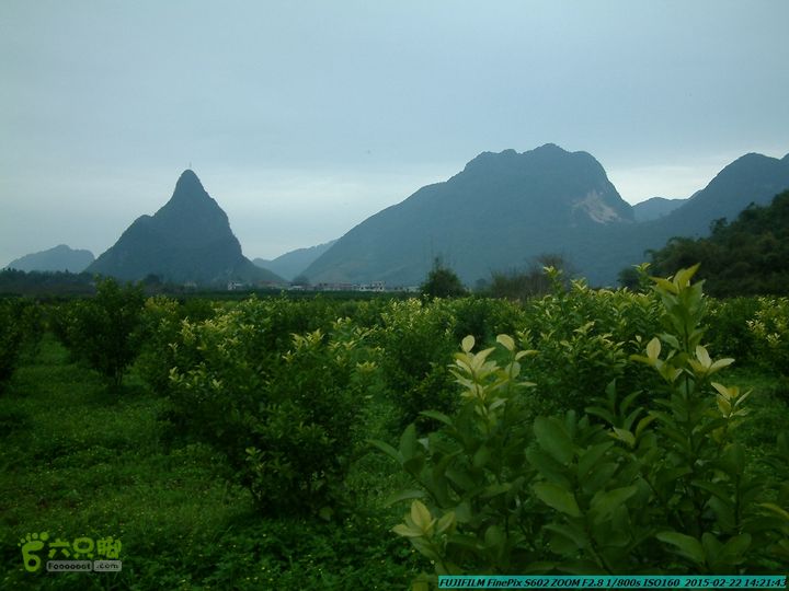20150222-灵川-凤凰岭-狮子山-潭下镇（户外情缘）DSCF0188
