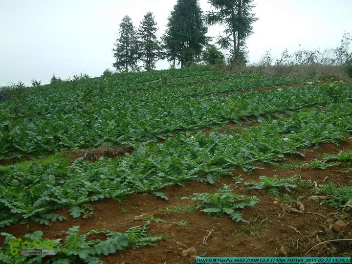 20150222-灵川-凤凰岭-狮子山-潭下镇（户外情缘）DSCF0191
