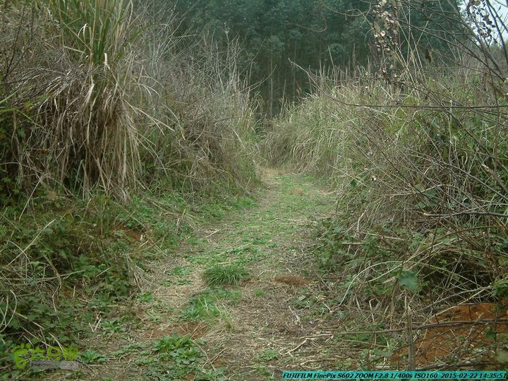 20150222-灵川-凤凰岭-狮子山-潭下镇（户外情缘）DSCF0193