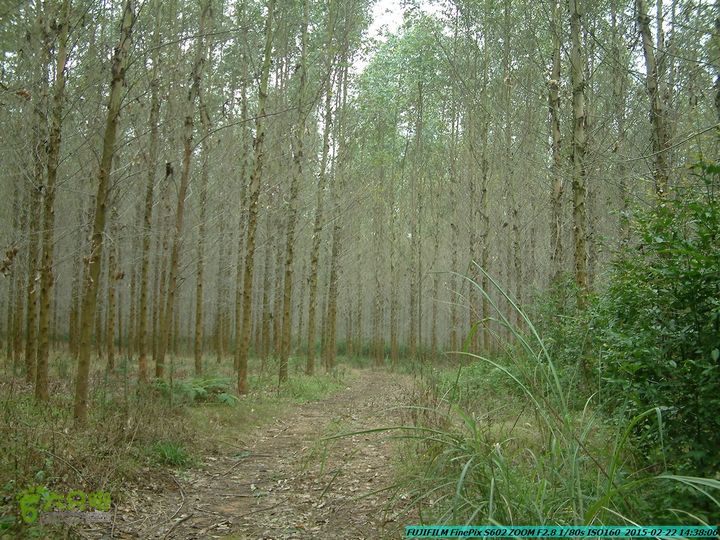 20150222-灵川-凤凰岭-狮子山-潭下镇（户外情缘）DSCF0195