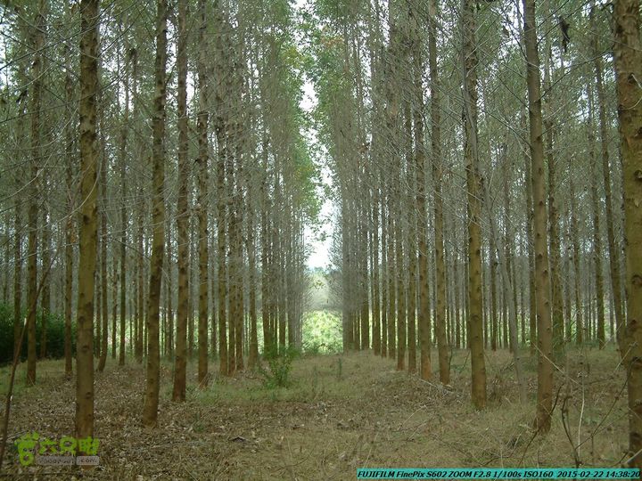 20150222-灵川-凤凰岭-狮子山-潭下镇（户外情缘）DSCF0196