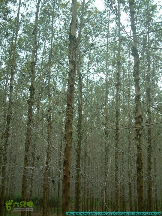 20150222-灵川-凤凰岭-狮子山-潭下镇（户外情缘）DSCF0197