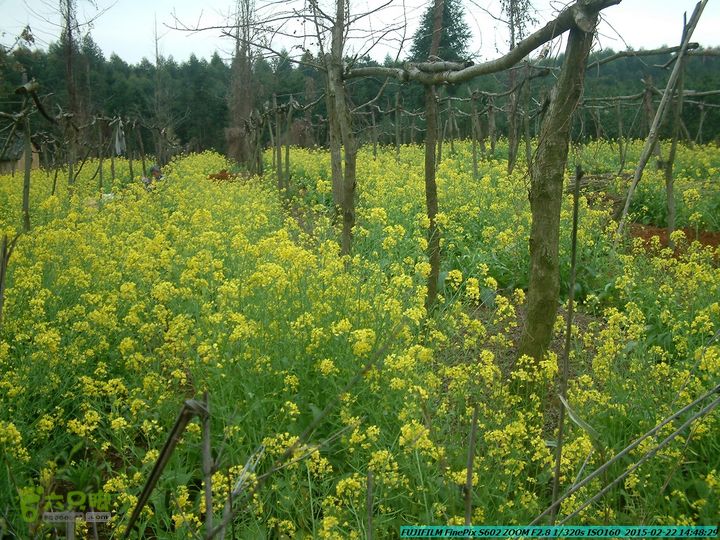 20150222-灵川-凤凰岭-狮子山-潭下镇（户外情缘）DSCF0200