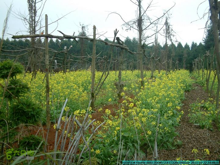 20150222-灵川-凤凰岭-狮子山-潭下镇（户外情缘）DSCF0201