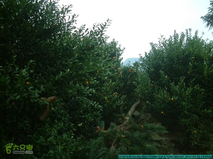 20150222-灵川-凤凰岭-狮子山-潭下镇（户外情缘）DSCF0202