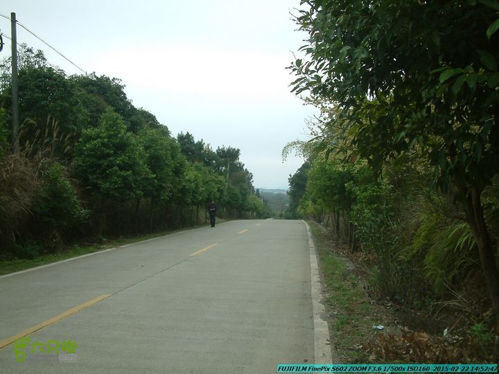 20150222-灵川-凤凰岭-狮子山-潭下镇（户外情缘）DSCF0208