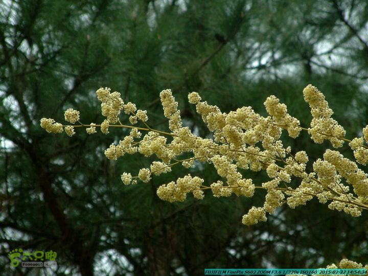 20150222-灵川-凤凰岭-狮子山-潭下镇（户外情缘）DSCF0214