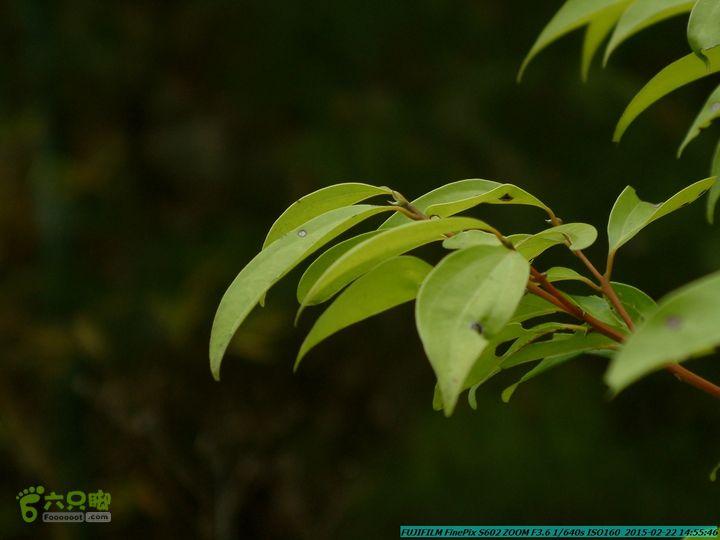 20150222-灵川-凤凰岭-狮子山-潭下镇（户外情缘）DSCF0216