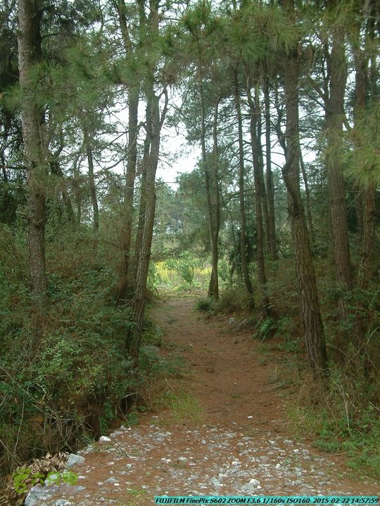 20150222-灵川-凤凰岭-狮子山-潭下镇（户外情缘）DSCF0218