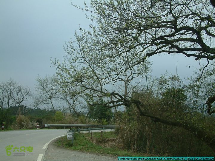 20150222-灵川-凤凰岭-狮子山-潭下镇（户外情缘）DSCF0219