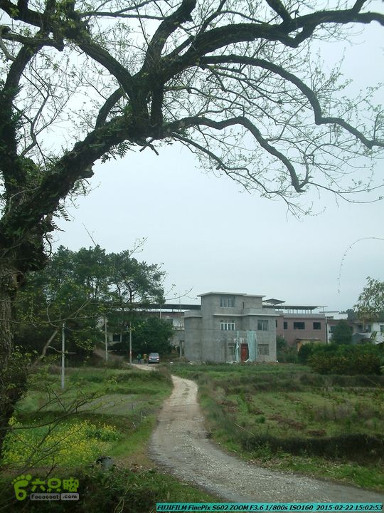 20150222-灵川-凤凰岭-狮子山-潭下镇（户外情缘）DSCF0220