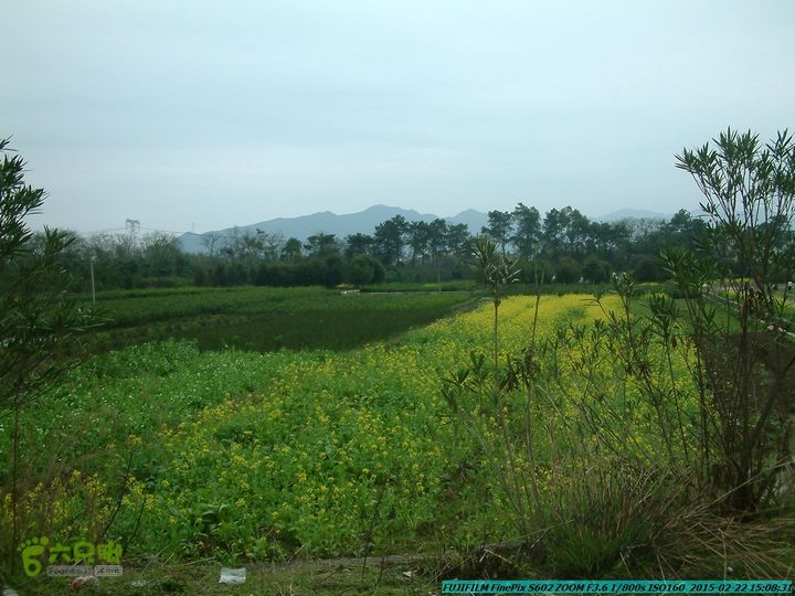 20150222-灵川-凤凰岭-狮子山-潭下镇（户外情缘）DSCF0224