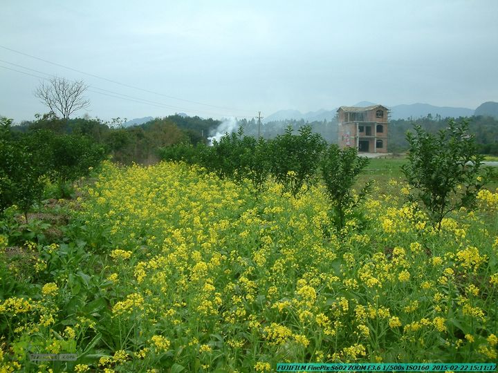 20150222-灵川-凤凰岭-狮子山-潭下镇（户外情缘）DSCF0226