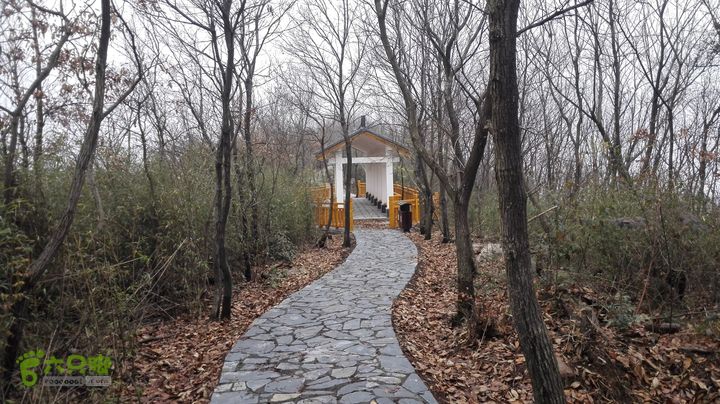 常德-花山村-太阳山-杜窝-大横梁山-大龙站IMG_20150224_104520