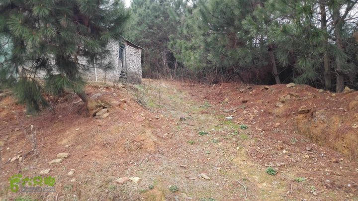 常德-花山村-太阳山-杜窝-大横梁山-大龙站IMG_20150224_120014