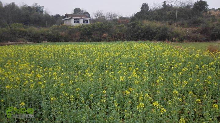 常德-花山村-太阳山-杜窝-大横梁山-大龙站IMG_20150224_122903