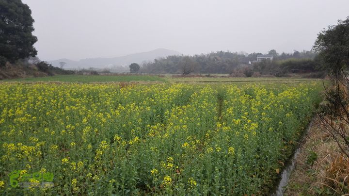 常德-花山村-太阳山-杜窝-大横梁山-大龙站IMG_20150224_122922