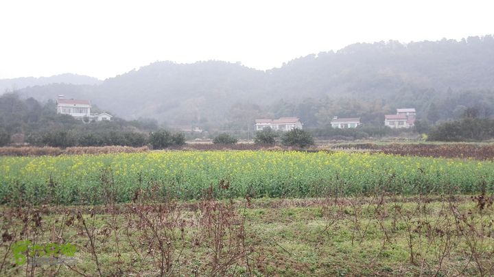 常德-花山村-太阳山-杜窝-大横梁山-大龙站IMG_20150224_122951