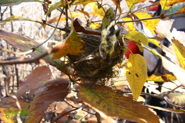 昱岭穿越（第2天）IMG_8345