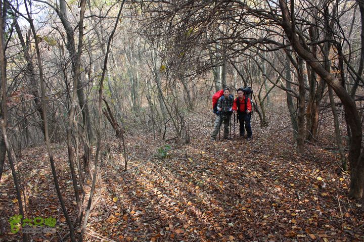 昱岭穿越（第2天）IMG_8506