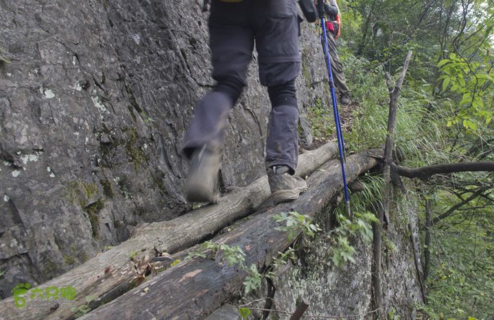 七星山-天门山徒步_IGP3380