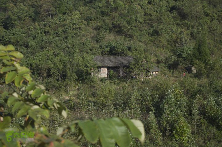 七星山-天门山徒步_IGP3418