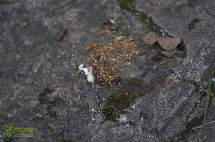 七星山-天门山徒步_IGP3445