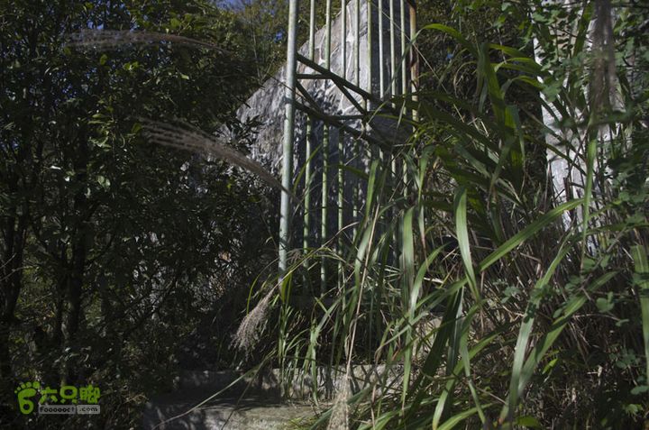 七星山-天门山徒步_IGP3447