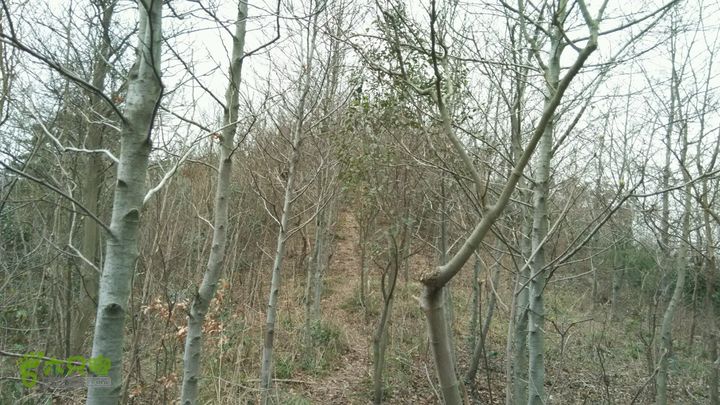 横山龙泉谷死亡谷穿越2015-03-09 13:40:19