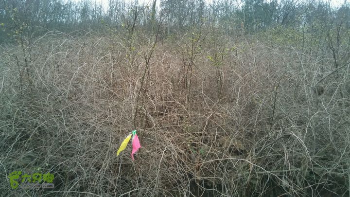 横山龙泉谷死亡谷穿越2015-03-09 13:54:49