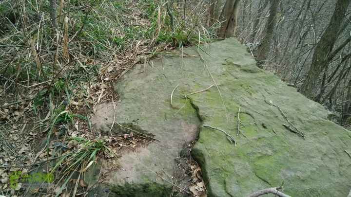 横山龙泉谷死亡谷穿越2015-03-09 14:12:48