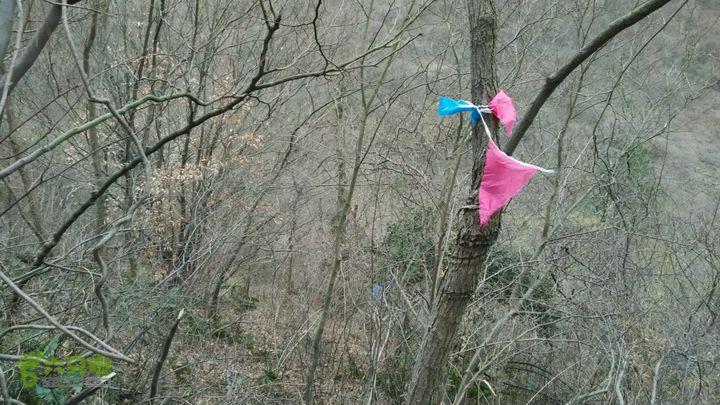 横山龙泉谷死亡谷穿越2015-03-09 14:18:32