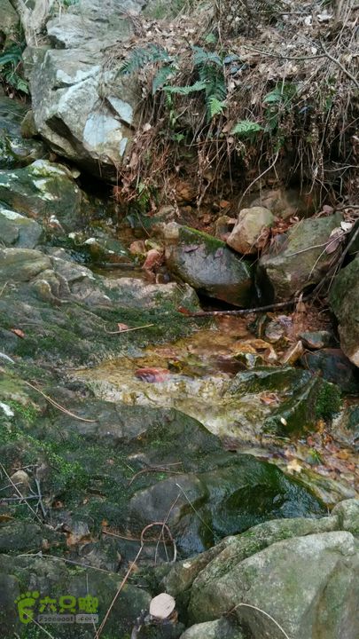 横山龙泉谷死亡谷穿越2015-03-09 15:08:33