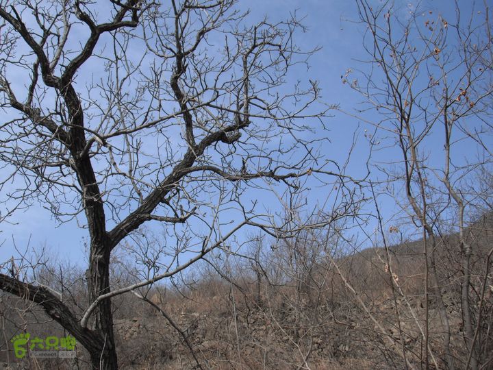 王平-花沟-耕园-南辛房DSCF7715