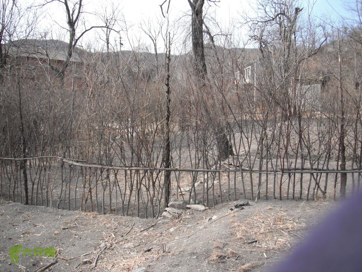 王平-花沟-耕园-南辛房DSCF7717