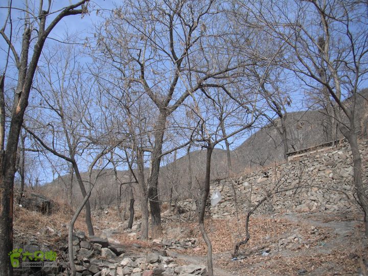 王平-花沟-耕园-南辛房DSCF7723