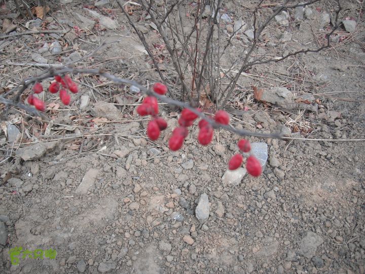 王平-花沟-耕园-南辛房DSCF7811