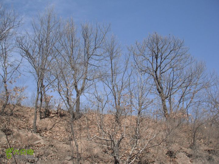 王平-花沟-耕园-南辛房DSCF7830