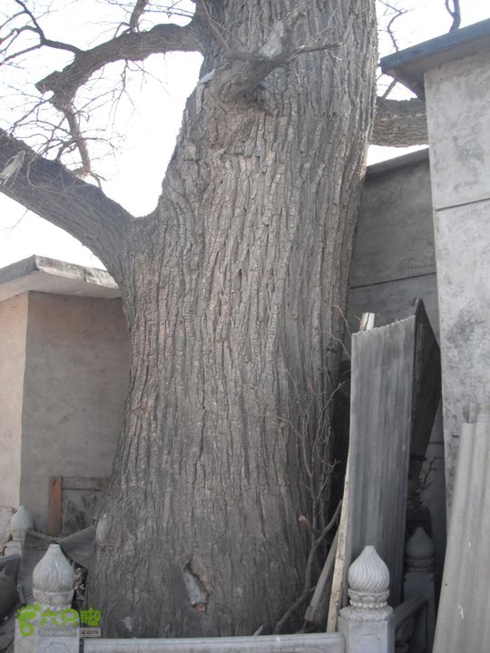 王平-花沟-耕园-南辛房DSCF7848