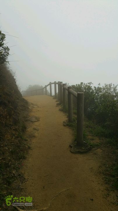 香港九龙屋脊连穿：笔架山-狮子山-飞鹅山雾中漫步
