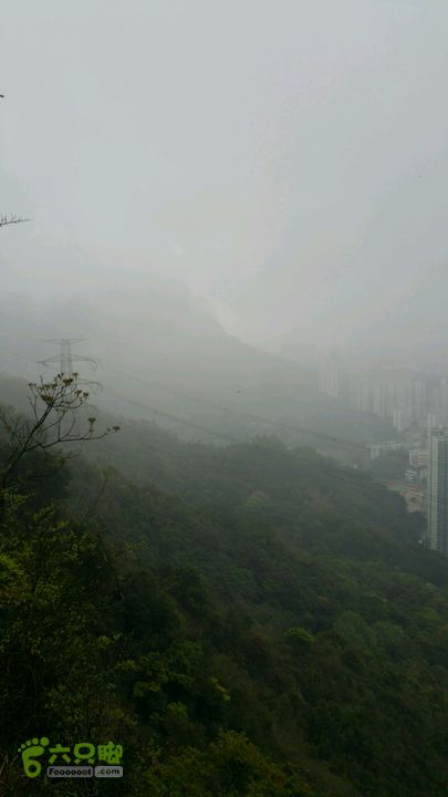香港九龙屋脊连穿：笔架山-狮子山-飞鹅山雾罩飞鹅山