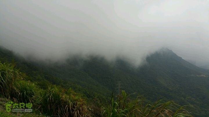 香港九龙屋脊连穿：笔架山-狮子山-飞鹅山山景如画