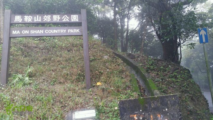 香港九龙屋脊连穿：笔架山-狮子山-飞鹅山进入马鞍山郊野公园