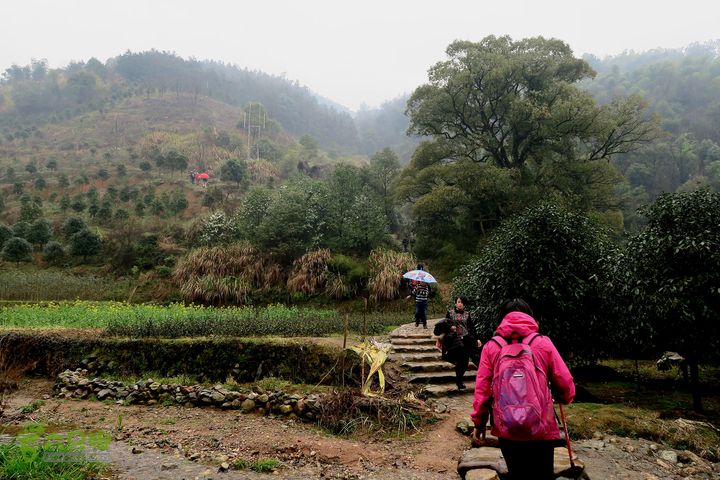 20150314金华智者寺——霞客古道——北山第一庙2015-03-14043